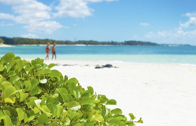 Mauritius South Tour Including Blue Bay Glass Bottom Boat & Snorkelling - Blue Bay Marine Park is the real reason to book