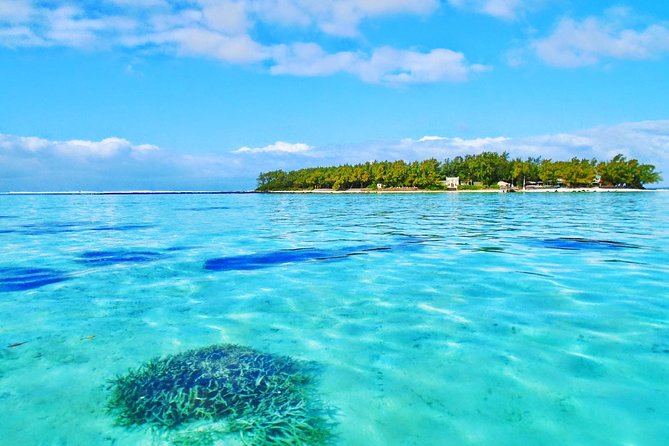 Mauritius South Tour Including Blue Bay Glass Bottom Boat & Snorkelling - Gris Gris shows a wilder side of Mauritius