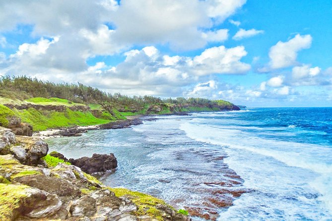 Mauritius South Tour Including Blue Bay Glass Bottom Boat & Snorkelling - La Vanille brings crocodiles and giant tortoises