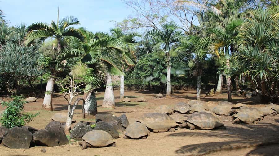 Mauritius: Southern Tour Incl. Adventure Park & Le Morne - Bel Ombre and the Maconde viewpoint