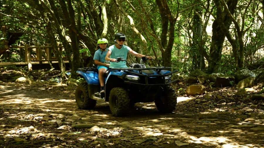 Mauritius: Southern Tour w/La Vanille & Le Morne Beach - Gris Gris and the south coast