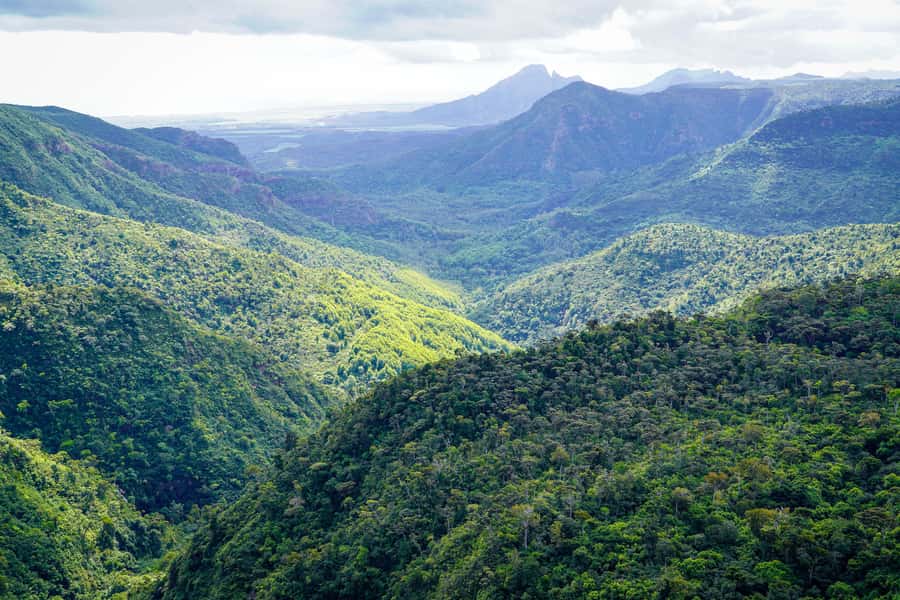 Mauritius: Sunrise Mountain Hike with Southwest Road-trip - Black River Gorges and Alexandra Falls