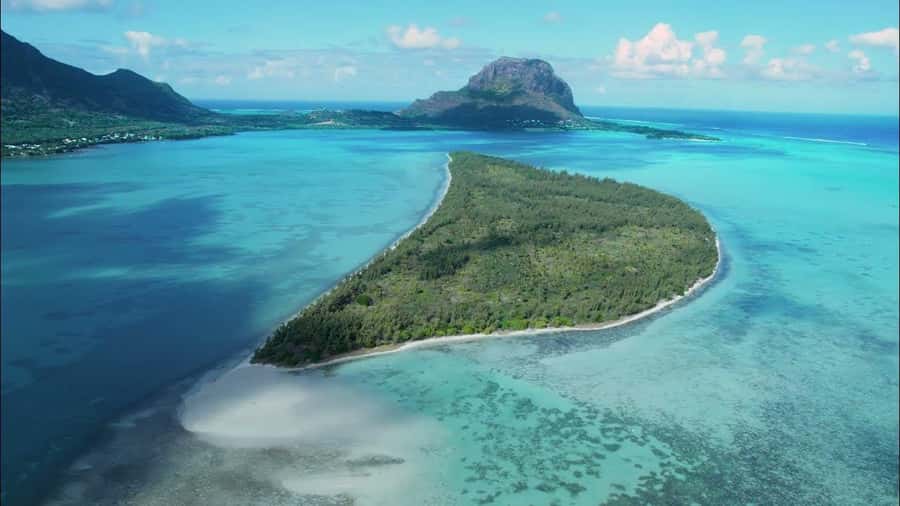 Mauritius: Swim with Dolphins Full-Day with Lunch/Drinks - 7:45 a.m. at La Preneuse