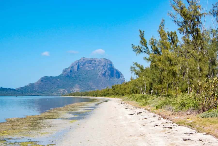 Mauritius: Swim with Dolphins Full-Day with Lunch/Drinks - Snorkeling at The Aquarium Around 9:30