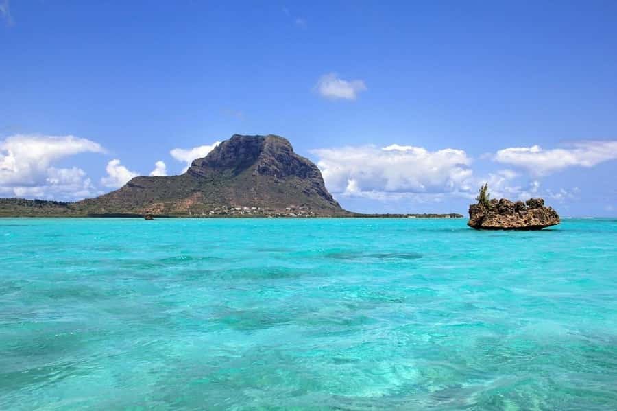 Mauritius: Swim with Dolphins Full-Day with Lunch/Drinks - What the $96 Price Really Covers