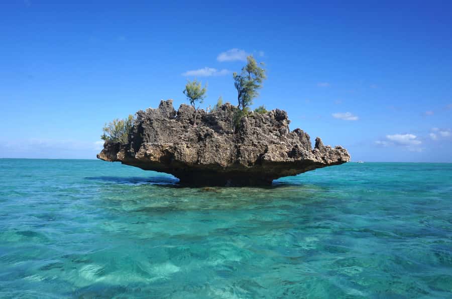 Mauritius: Swim with Dolphins Full-Day with Lunch/Drinks - The Speedboat Ride Along Mauritius’ West Coast