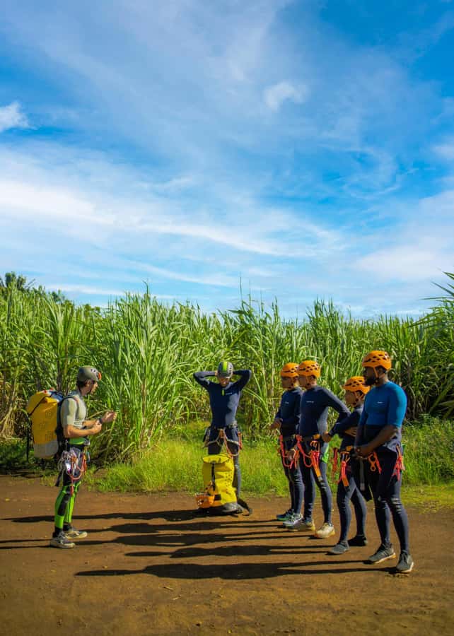 Mauritius: Tamarind Falls Canyoning Adventure - Should you book Tamarind Falls canyoning?