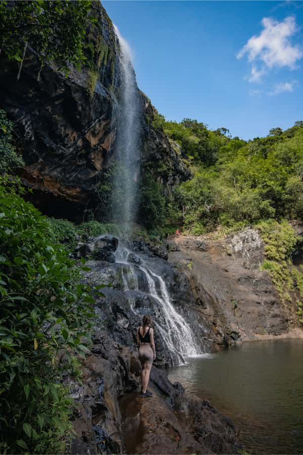 Mauritius: Tamarind Falls Highlights 3-Hour Hiking Trip - What the guides add