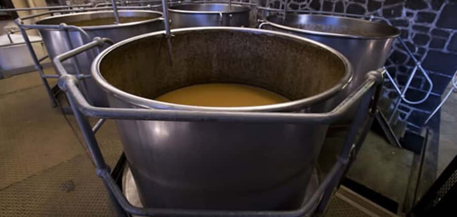 Mauritius: Tea and Sugar Plantation Guided Tour with Lunch - Should you book it?