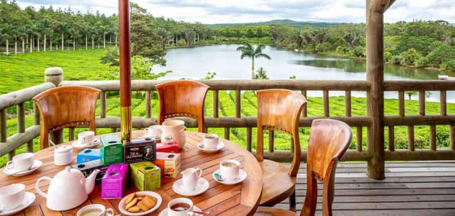 Mauritius: Tea, Rum and Vanilla Route with Lunch and Pickup - How the private format changes the day