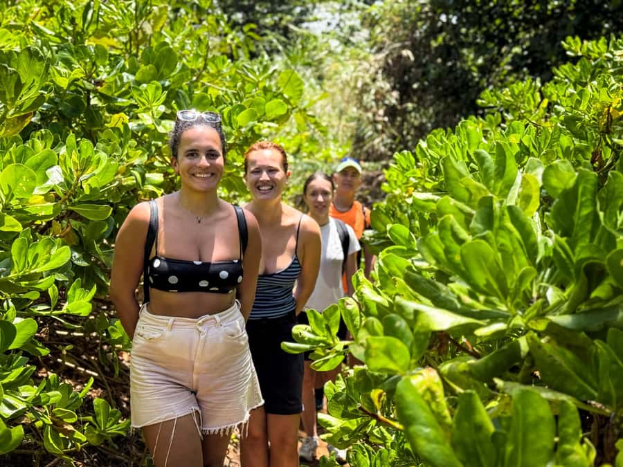Mauritius: The Wild South Hiking Tour with a Guide - Gris Gris beach and the return route
