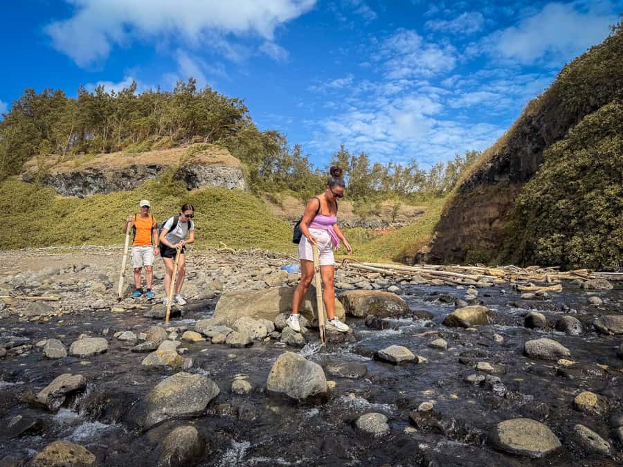 Mauritius: The Wild South Hiking Tour with a Guide - Fitness, safety, and what to pack