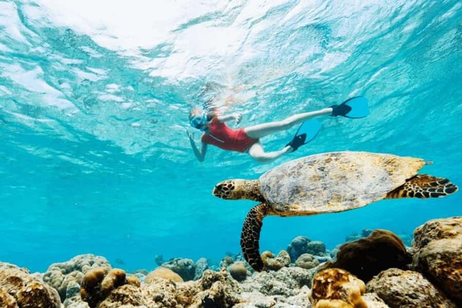 Mauritius: Turtle Swim and North Discovery Tour with Pickup - Trou aux Biches brings the morning to life