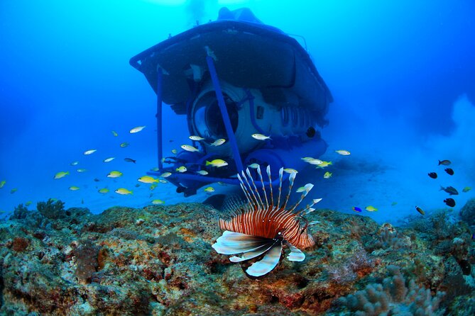Mauritius Unique Submarine Tour - A crew that keeps the process calm
