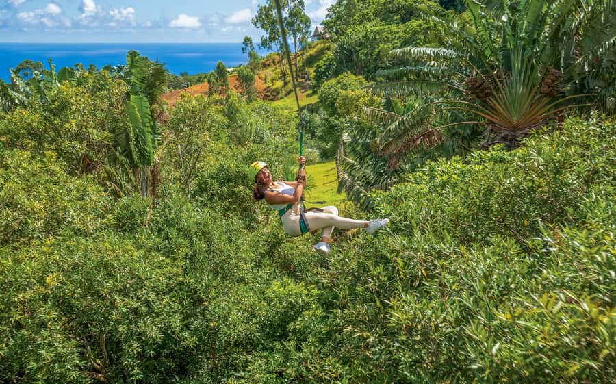 Mauritius: Vallé Advenature Park - Adventure Tour Zipline - What the six platforms are really like