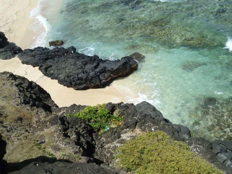Mauritius: Vanilla Park & Beaches Tour with Extra Option - Why this southern Mauritius day works