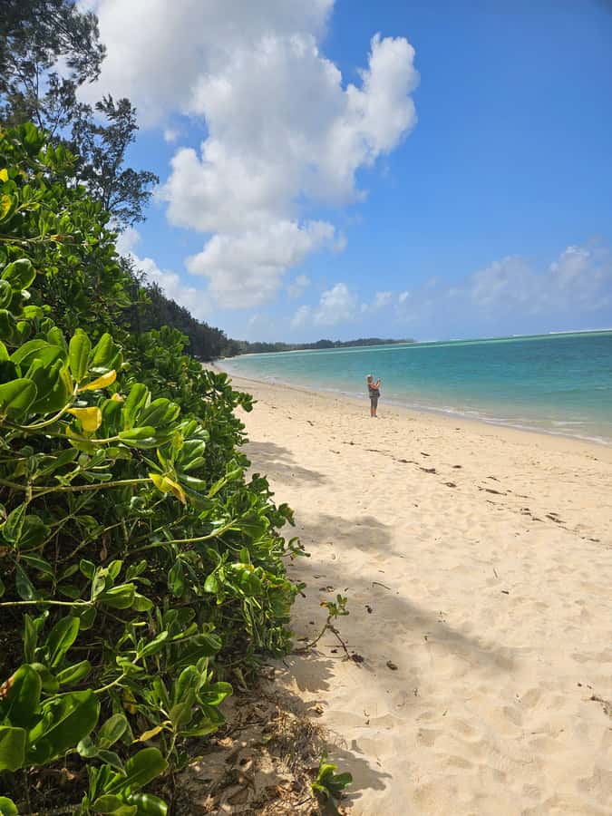 Mauritius: Vanilla Park & Beaches Tour with Extra Option - What the guides add to the day