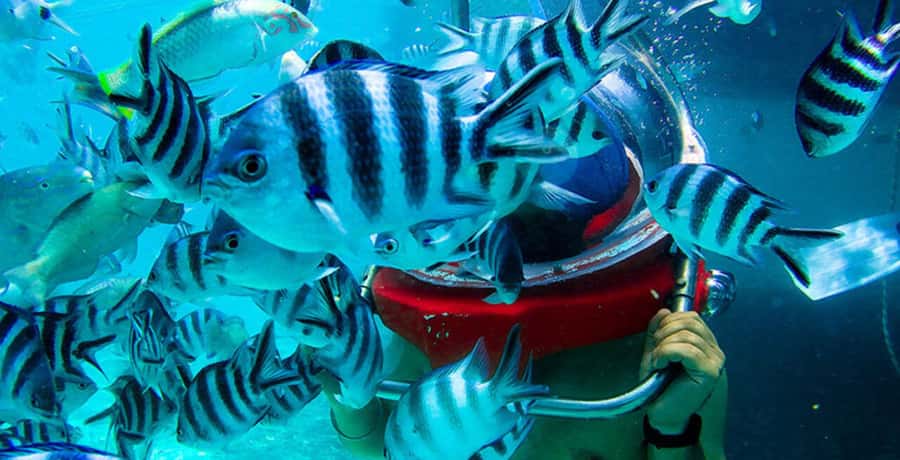 Mauritius: Watersport Adventure Day with Lunch and Pickup - Safety, weather, and customer service concerns