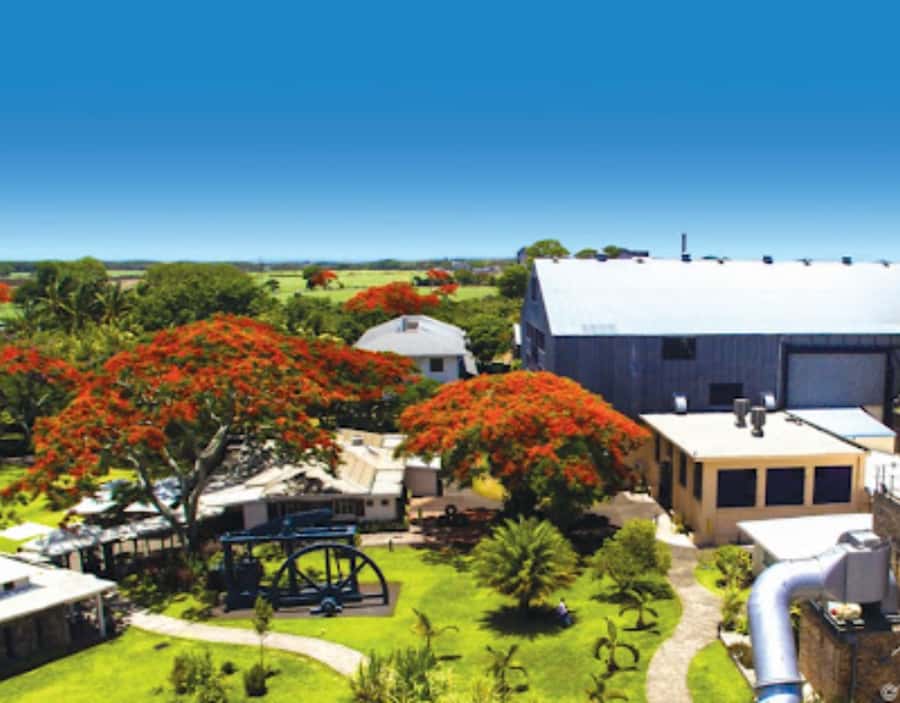 North Day Tour, Botanical Garden, Sugar Museum, Rum Tasting - Starting from Mauritius’s northern resorts