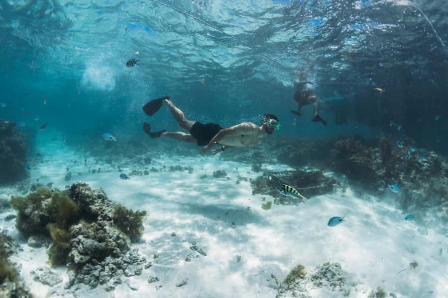 North East of Mauritius: Catamaran Cruise w/ BBQ Lunch - Bernaches Island gives you beach time after lunch
