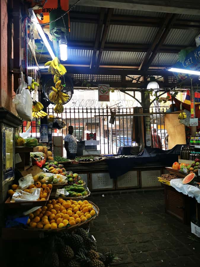 North Tour Of Mauritius With Street Food tasting - Timing, comfort, and practical planning
