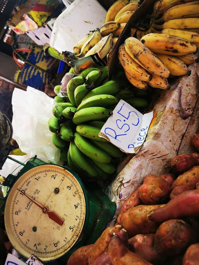North Tour Of Mauritius With Street Food tasting - What the guide adds to the day