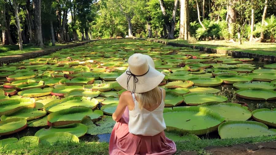 North Tour: Port Louis, Caudan, Citadelle, Botanical Garden - What this northern Mauritius day is really like