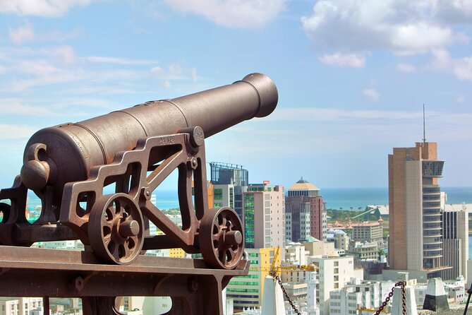 Port Louis and Pamplemousses Garden - A full day trip - Fort Adelaide and the best view over Port Louis