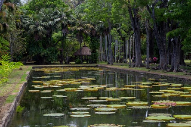 Port Louis and Pamplemousses Garden - A full day trip - Caudan Waterfront and the modern capital