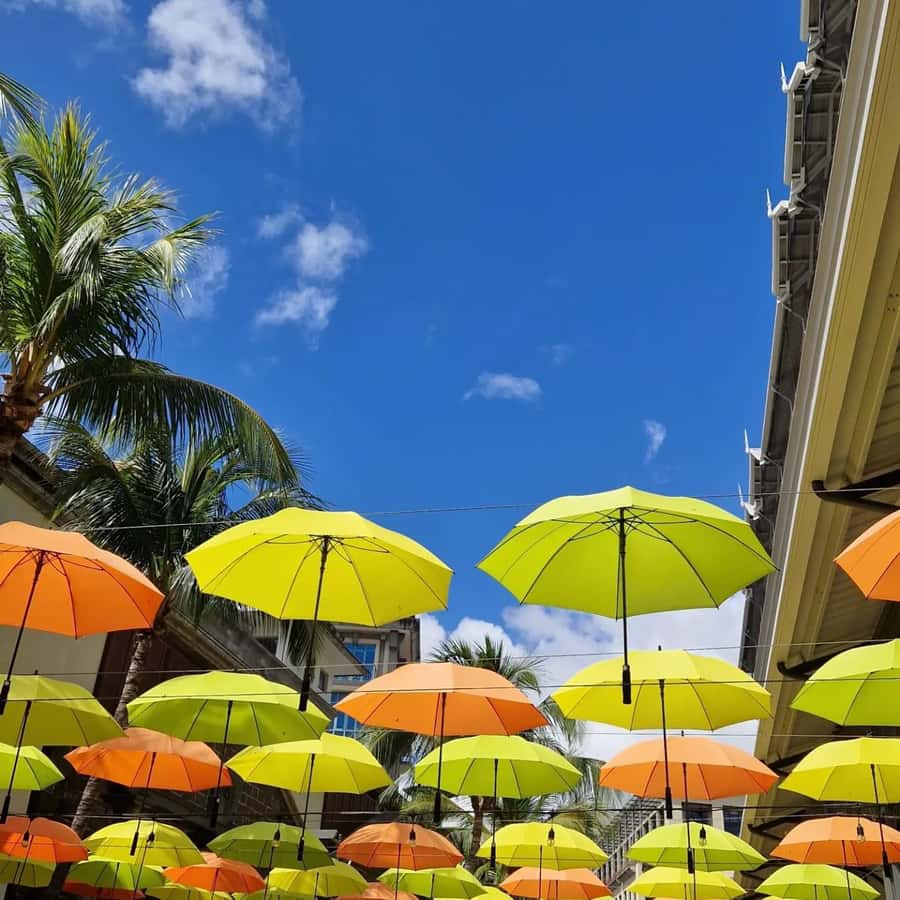 Port Louis: City Tour with Street Food Tasting - Key points to know before booking