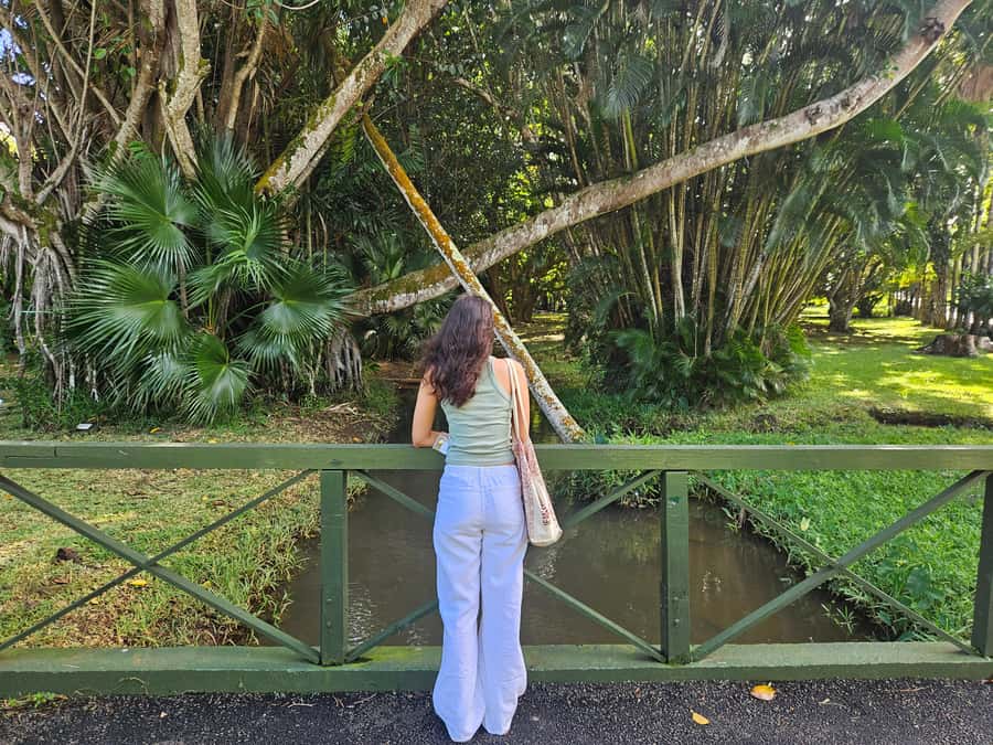 Port Louis: Mont Choisy, Botanical Garden, and Church Tour - Should you book it?
