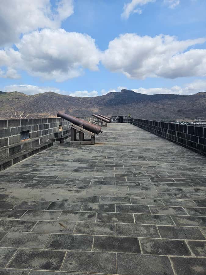 Port Louis: Mont Choisy, Botanical Garden, and Church Tour - What your private guide adds