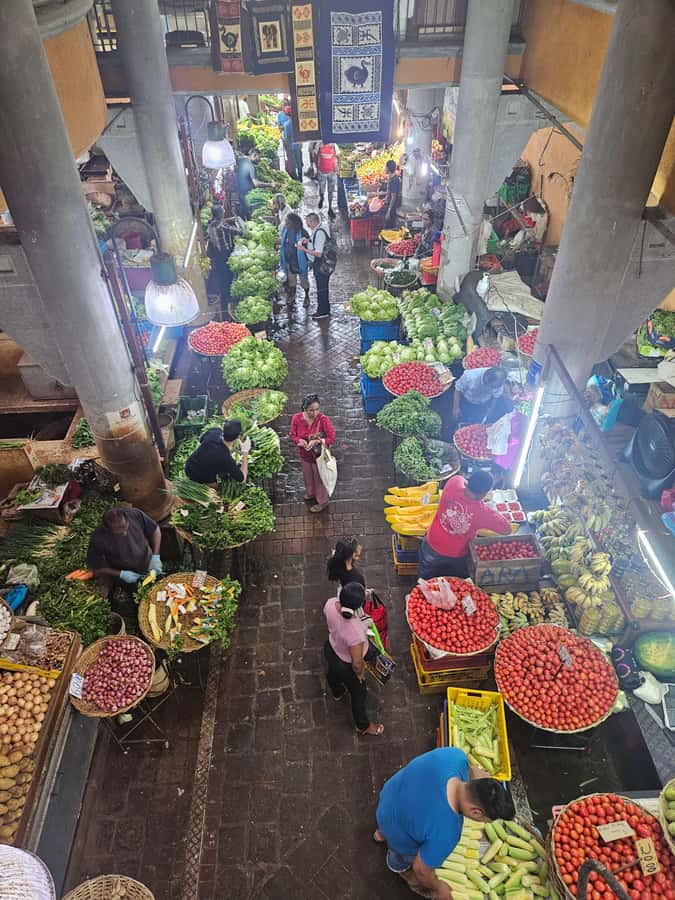 Port Louis: Mont Choisy, Botanical Garden, and Church Tour - Timing, comfort, and the $129 price