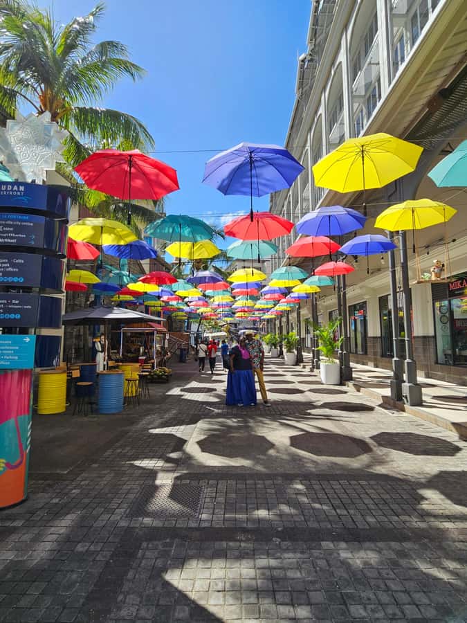 Port Louis: Mont Choisy, Botanical Garden, and Church Tour - Pamplemousses Botanical Garden and the value of paying extra
