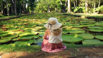 Northern Treasures Private Tour