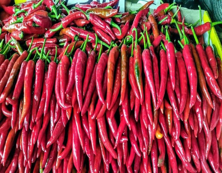 Port Louis: Northern Treasures Private Tour - Should you book it?