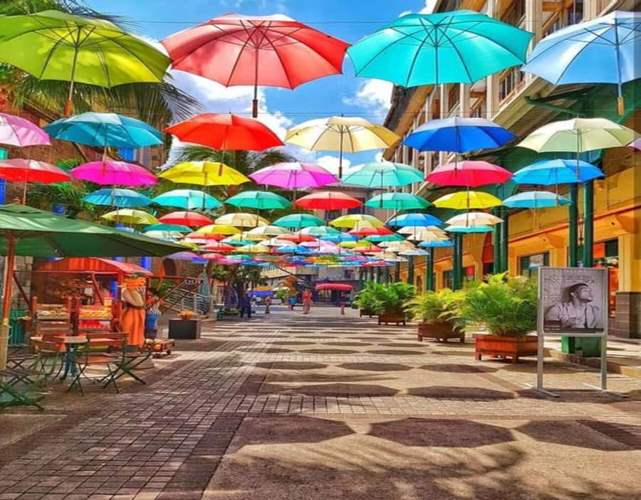 Port Louis: Private Guided Tour and Street Food Tasting - Central Market: start with Port Louis on the ground