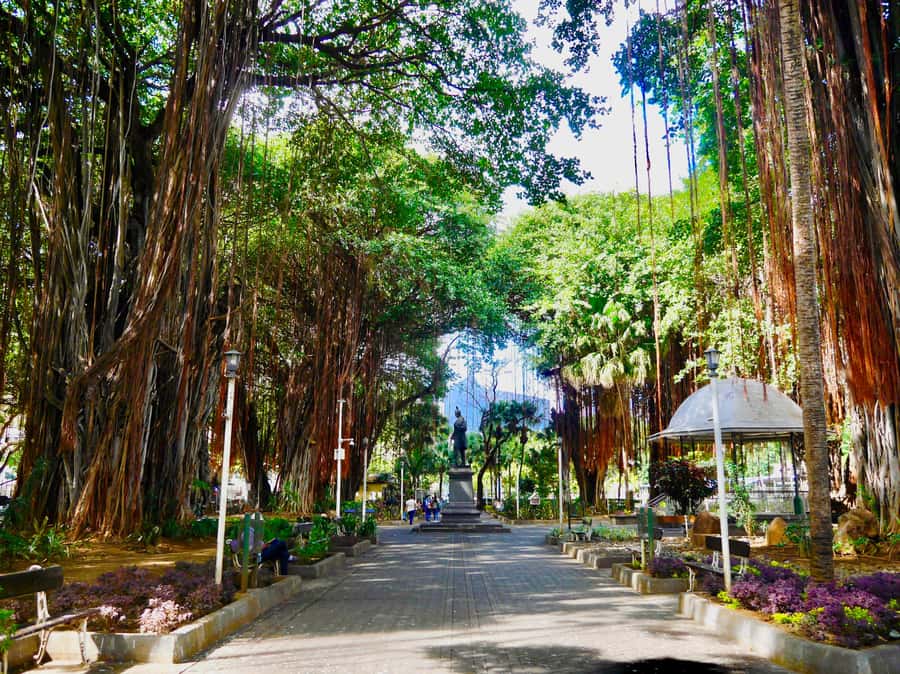 Port Louis: Street Eats and City Highlights Walking Tour - Meeting at Caudan Arts Centre