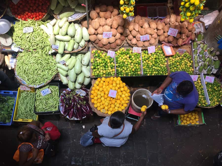 Port Louis: Street Food & City Tour - The museum stop and Mauritius in context
