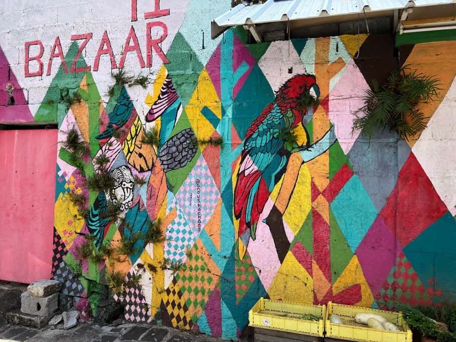 Port Louis: Street Food & City Tour - Food preferences and dietary needs
