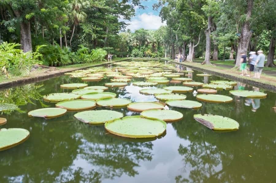Private All Inclusive North Tour with Lunch & Entrance Fees - Key points to know before booking