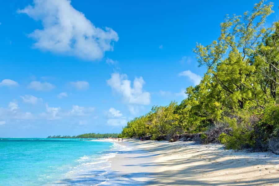 Private Catamaran Charter to Ile aux Cerfs - What the crew adds to the experience