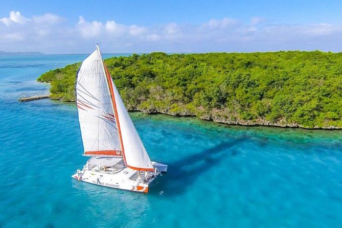 Private Charter Full Day Cruise: Île aux Cerfs - Snorkeling With Gear Included