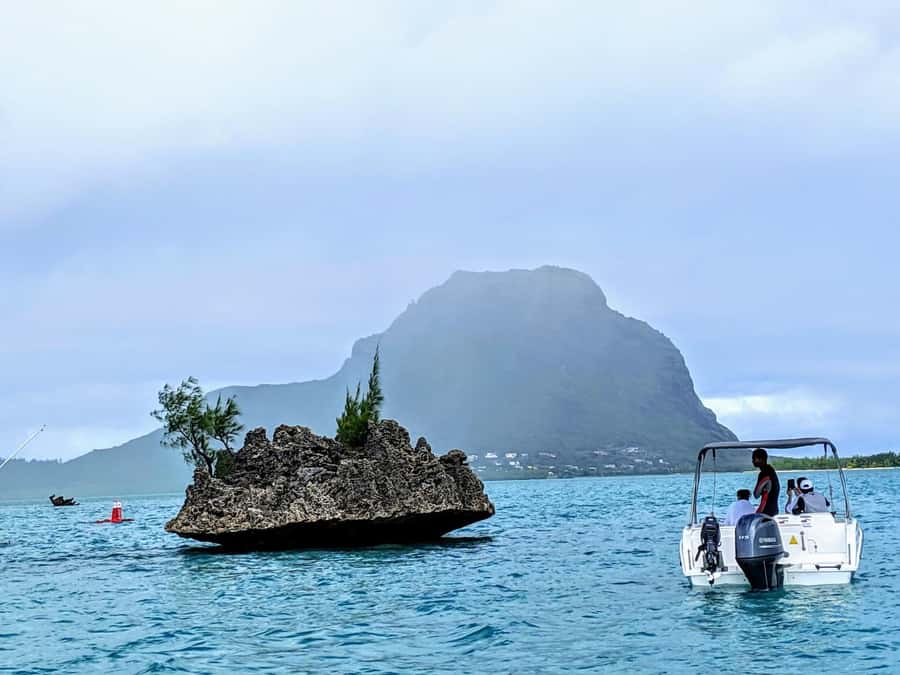 Private Dolphin Swim/Snorkeling & Lunch on Benitiers island - Why the private boat matters on a seven-hour day
