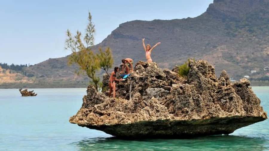 Private Dolphin Swim/Snorkeling & Lunch on Benitiers island - Dolphins in Tamarin Bay
