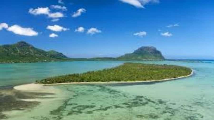 Private Dolphin Swim/Snorkeling & Lunch on Benitiers island - Practical preparation for the boat and beach