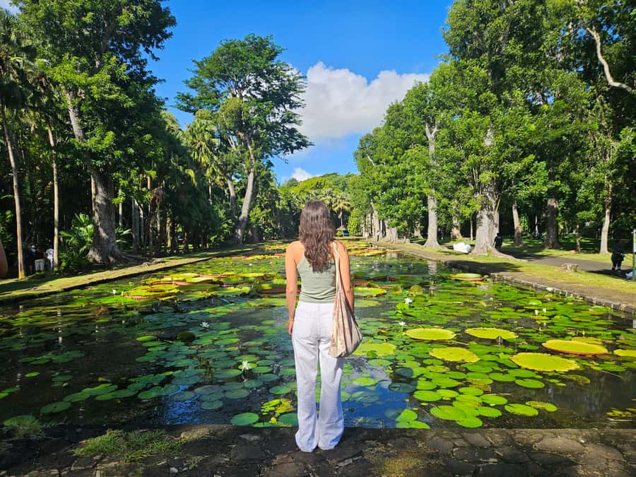 PRIVATE FULL-DAY NORTH AND SOUTH TOUR - Rhumerie de Chamarel on request