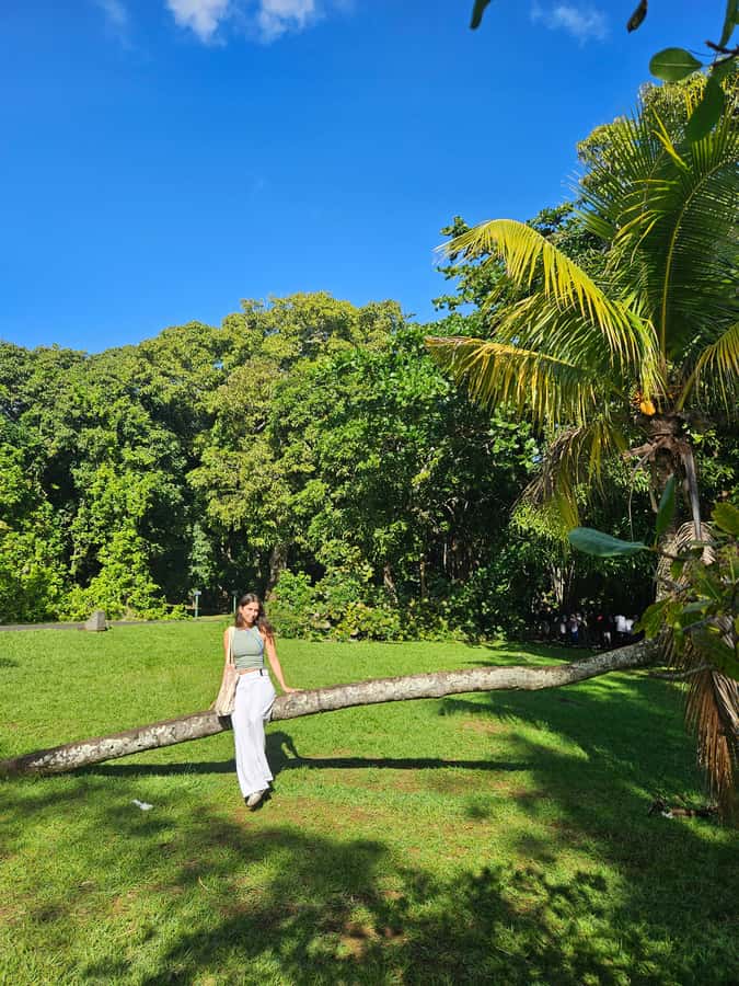 PRIVATE FULL-DAY NORTH AND SOUTH TOUR - The guide can shape the day