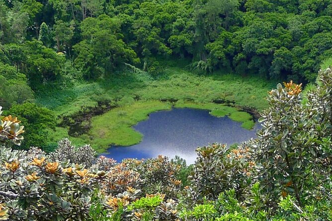 Private Full Day Tour in Mauritius - Grand Bassin adds a quiet spiritual pause