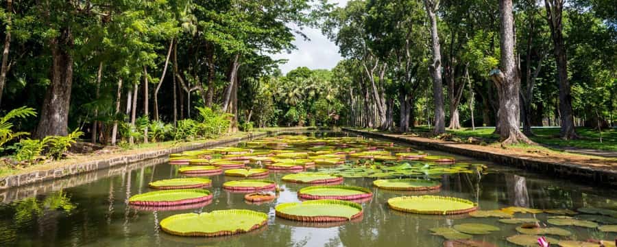 Private Full Day Tour of Port Louis and Northern - A practical way to see Port Louis and the north